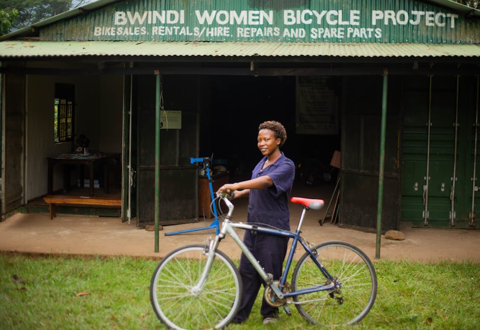 LIC and Sahaj: Expanding Rural Insurance Access