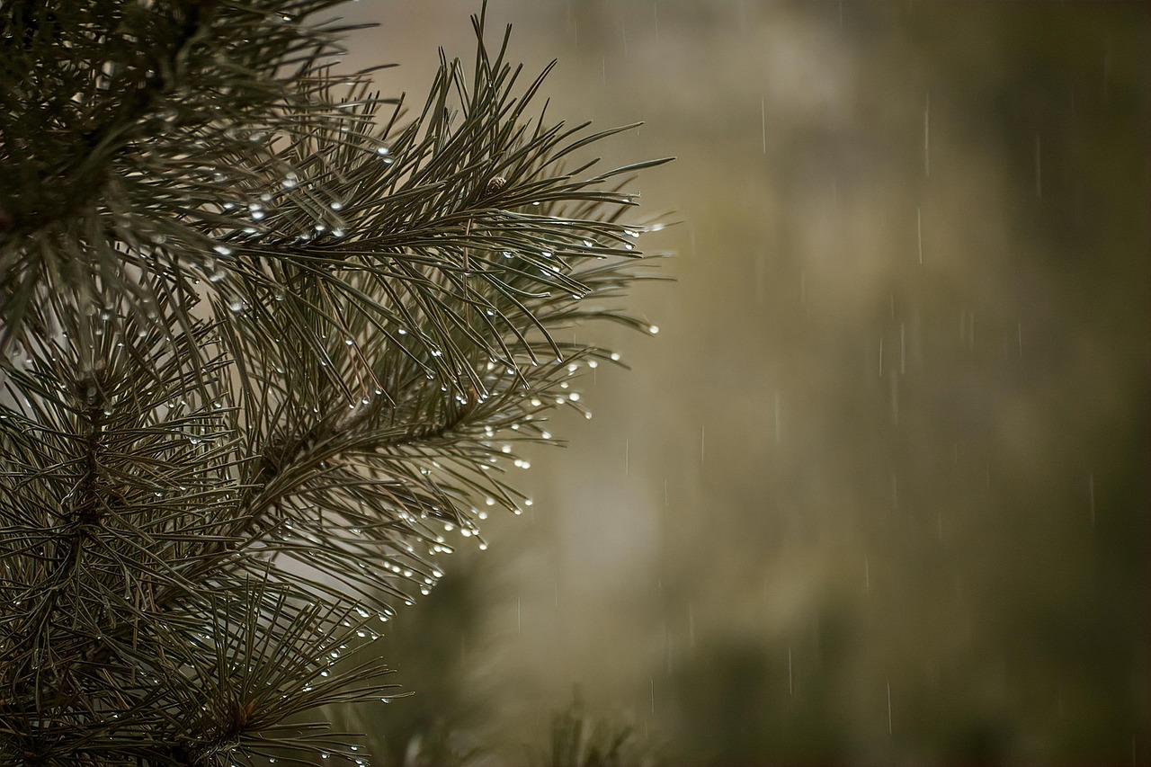 Punjab to Raise Per Family Health Cover to Rs 10 Lakh