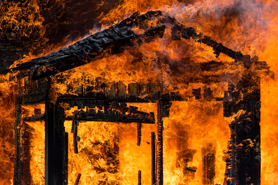 Understanding Insurance Options for Homeowners in Wildfire-Prone Areas