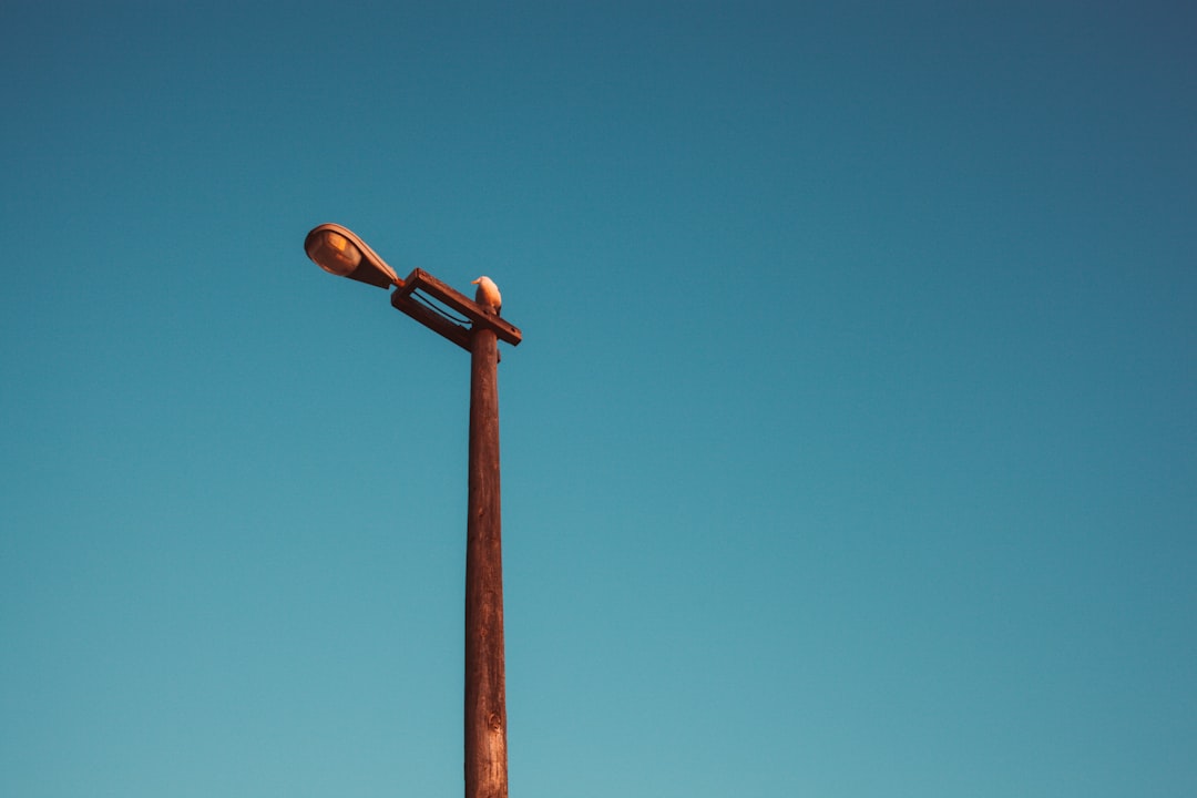 Irdai Fines Reliance General Insurance for Commission Violations