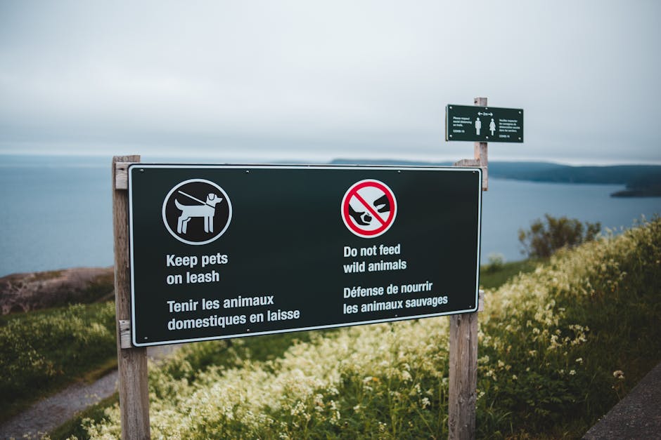 2026 Insurance Outlook: Key Reforms from IRDAI